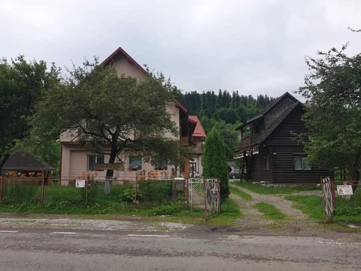 Villa Ileana Ceahlău Buitenkant foto