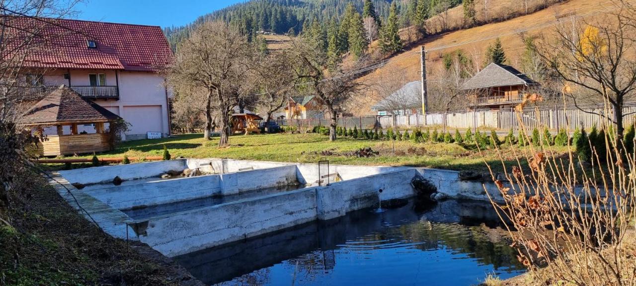 Villa Ileana Ceahlău Buitenkant foto