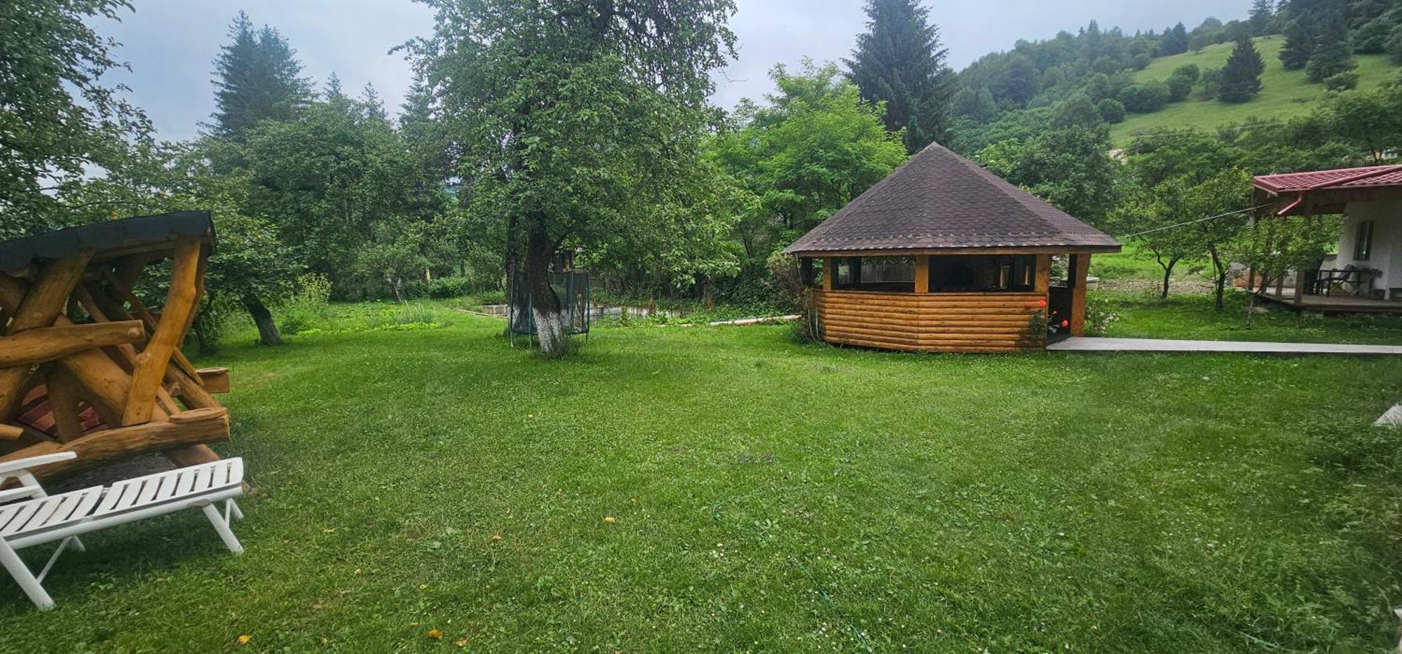 Villa Ileana Ceahlău Buitenkant foto