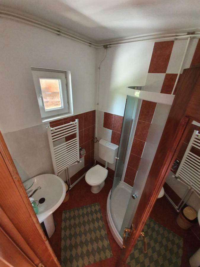 Villa Ileana Ceahlău Buitenkant foto